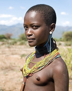 Nippel