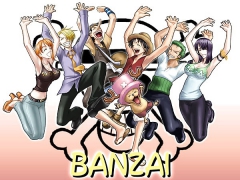 One Piece Part 8