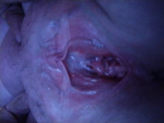 Aprild123456789
