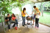 Violla, Rosa, Laska, Gregor, Filimon