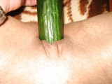 Turkaylin 1