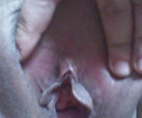 Fotki 149