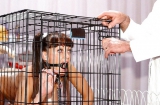Caged Kennel Cunts pt. 2