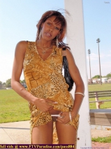 ftv girls bewildered girls ftvgirls