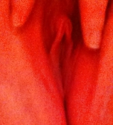Pic\'s of my booty calls