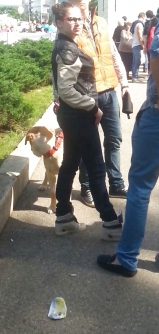 Spy sexy women in parck romanian