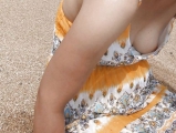 Nip Slips and Perverts