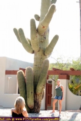 ftv girls fair girls ftvgirls