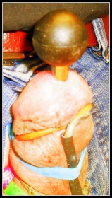 Cock