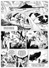 COMICS - SUPERHEROINES