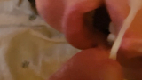 swallow
