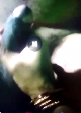 My desi indian wife sex messege big cock 4