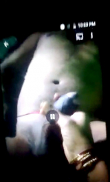 My desi indian wife sex messege big cock 4