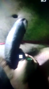 My desi indian wife sex messege big cock 4