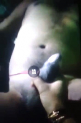 My desi indian wife sex messege big cock 4