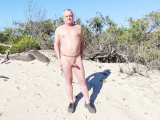 les premiers rayons de soleil dans les dunes de la plage