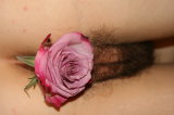 My Flower. ( Sarahporn69 )