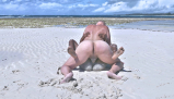 Fucking on the beach, interracial beach porn in Africa