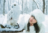 Message From a Owl