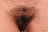 Gina's vagina it's been