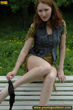 Park bench pee - N