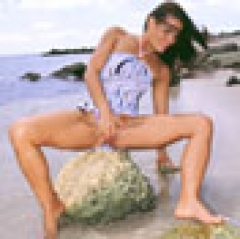 Bare Beachcomber - N