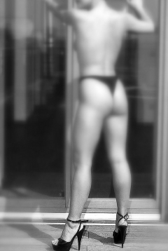 Meine Modelle - N