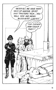 COMICS - SUPERHEROINES - N