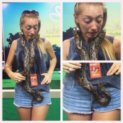 Snakey Girls - N