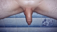 SMALL COCKS - N