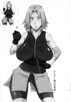 Karakishi Youhei dan Shinka Brute - N