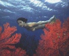 Underwater Nimph - N