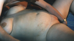 Mari nude album 2 - N