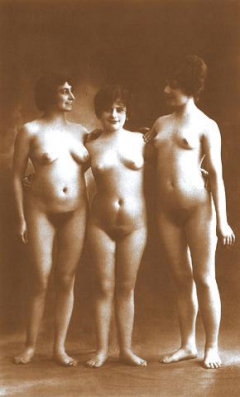 Antique Solo Chicks - N