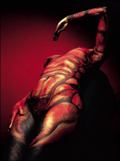Body To Paint 5 - N