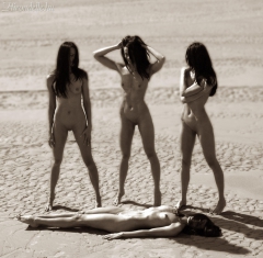 Beachy Model 03 - N