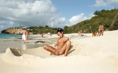Beachy Model 03 - N