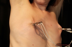 Mistress Katy Parker learned - N