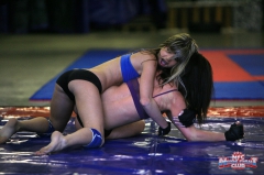 It is wrestling time! - N