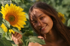 Funky photo-session with sunflowers - N