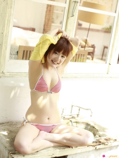 Spring Dream 2 - N