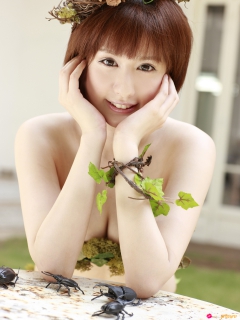 Spring Dream 1 - N