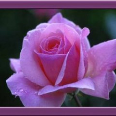 judith2020`s avatar