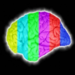 brainwashadult`s avatar