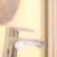 sinfire66666`s avatar