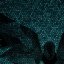 aiola`s avatar