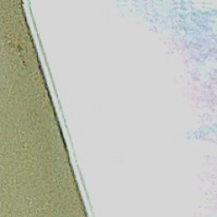 Intrikinglye`s avatar