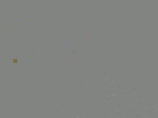 Pint sized blonde babe getting fucked hard on web cam