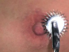 Boxt tied slut handling wartenberg pinwheels