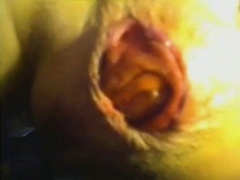 webcam-show-with-pretty-rosebud